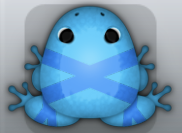 Azure Caelus Ligo Frog from Pocket Frogs