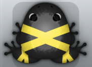 Black Aurum Ligo Frog from Pocket Frogs