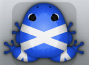 Blue Albeo Ligo Frog from Pocket Frogs