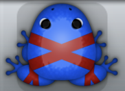 Blue Tingo Ligo Frog from Pocket Frogs