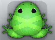 Emerald Muscus Ligo Frog from Pocket Frogs