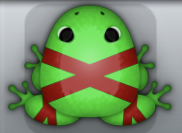 Emerald Tingo Ligo Frog from Pocket Frogs