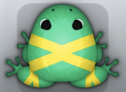 Marine Aurum Ligo Frog from Pocket Frogs