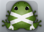 Olive Albeo Ligo Frog from Pocket Frogs