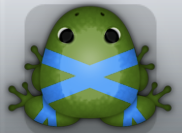 Olive Caelus Ligo Frog from Pocket Frogs