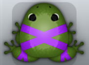 Olive Viola Ligo Frog from Pocket Frogs