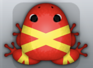 Red Aurum Ligo Frog from Pocket Frogs