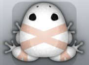 White Ceres Ligo Frog from Pocket Frogs