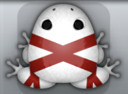 White Tingo Ligo Frog from Pocket Frogs