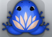 Blue Ceres Lotus Frog from Pocket Frogs