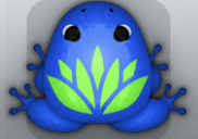 Blue Muscus Lotus Frog from Pocket Frogs