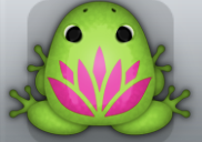 Green Floris Lotus Frog from Pocket Frogs