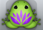 Green Viola Lotus Frog from Pocket Frogs