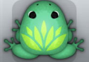 Marine Folium Lotus Frog from Pocket Frogs