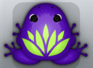Purple Folium Lotus Frog from Pocket Frogs