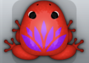 Red Viola Lotus Frog from Pocket Frogs
