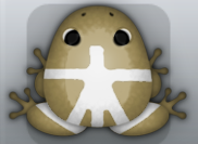 Beige Albeo Lucus Frog from Pocket Frogs