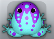 Aqua Viola Ludo Frog from Pocket Frogs