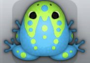 Azure Folium Ludo Frog from Pocket Frogs