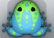 Azure Muscus Ludo Frog from Pocket Frogs