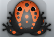 Black Carota Ludo Frog from Pocket Frogs