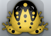 Golden Picea Ludo Frog from Pocket Frogs