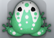 Marine Albeo Ludo Frog from Pocket Frogs