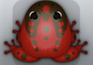 Maroon Cafea Ludo Frog from Pocket Frogs