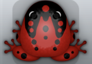 Maroon Picea Ludo Frog from Pocket Frogs