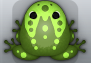 Olive Folium Ludo Frog from Pocket Frogs