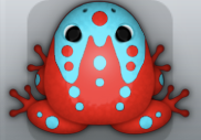 Red Callaina Ludo Frog from Pocket Frogs