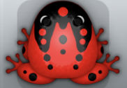 Red Picea Ludo Frog from Pocket Frogs