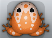 Tangelo Ceres Ludo Frog from Pocket Frogs