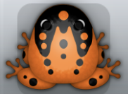 Tangelo Picea Ludo Frog from Pocket Frogs