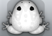 White Albeo Ludo Frog from Pocket Frogs