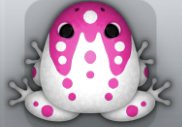 White Floris Ludo Frog from Pocket Frogs