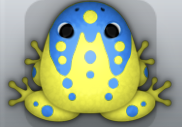 Yellow Caelus Ludo Frog from Pocket Frogs