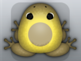 Beige Aurum Lunaris Frog from Pocket Frogs