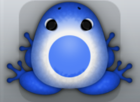 Blue Albeo Lunaris Frog from Pocket Frogs