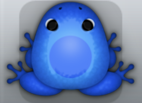 Blue Caelus Lunaris Frog from Pocket Frogs