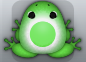 Emerald Albeo Lunaris Frog from Pocket Frogs