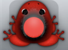Red Picea Lunaris Frog from Pocket Frogs