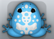 Azure Albeo Magus Frog from Pocket Frogs