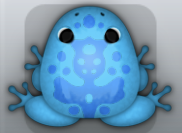 Azure Caelus Magus Frog from Pocket Frogs