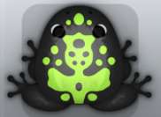 Black Folium Magus Frog from Pocket Frogs