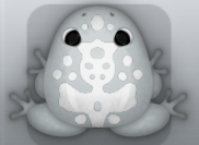 Glass Albeo Magus Frog from Pocket Frogs
