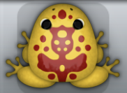 Golden Tingo Magus Frog from Pocket Frogs