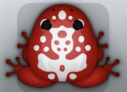 Maroon Albeo Magus Frog from Pocket Frogs