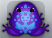 Purple Caelus Magus Frog from Pocket Frogs
