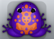 Purple Carota Magus Frog from Pocket Frogs